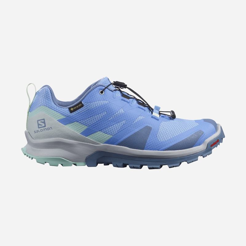 Chaussures De Trail Running Salomon Femme Bleu - Salomon XA ROGG GTX W - France (7348-RPHGK)